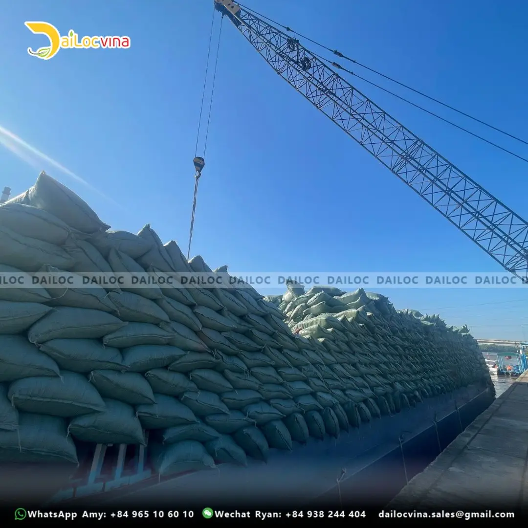 HIGH QUALITY ROUND COCO COIR PEAT FOR PLANTING GARDENING MODERN POTTING SOIL SUBSTRATE OFFICE SPACE MADE COCO FIBER