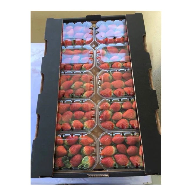 Export Quality Hot Sale Fruits Berries Delicious Sweet Taste Natural Fresh Strawberry for Wholesale Purchase at Bulk Price