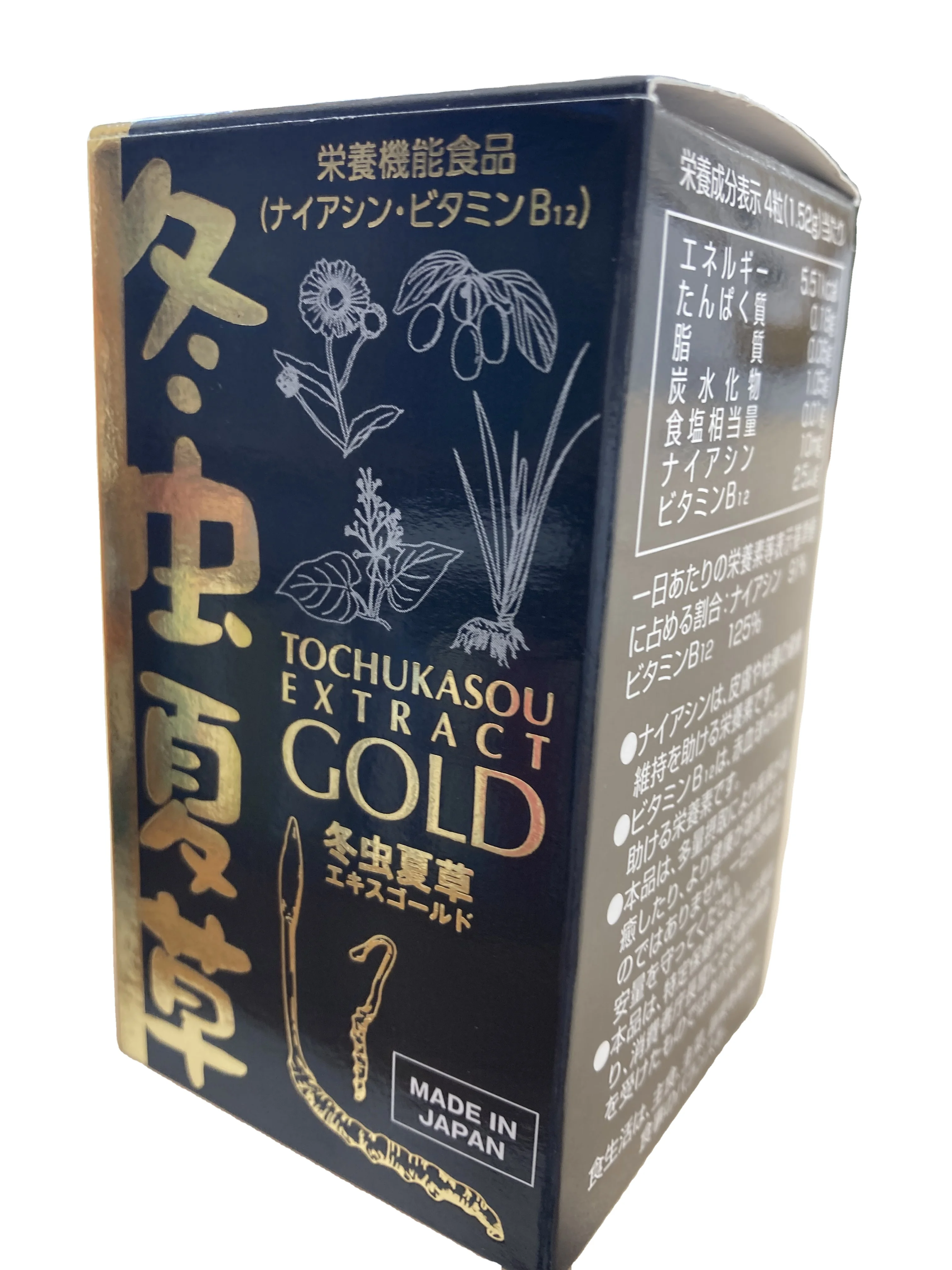 Healthcare supplement, Cordyceps sinensis, Energy Reinforcement