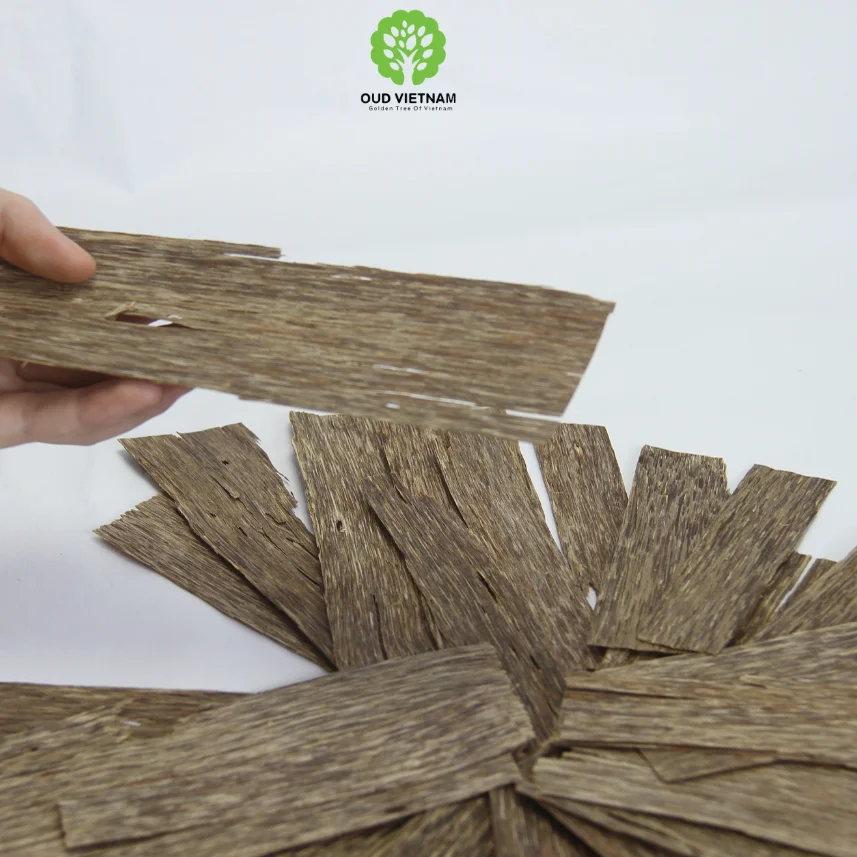 TRIPLE SUPER GRADE 2 SIDES FLAT OUD CHUNK FROM PURE OUD VIETNAM WITH GOOD HANDCRAFT METHOD