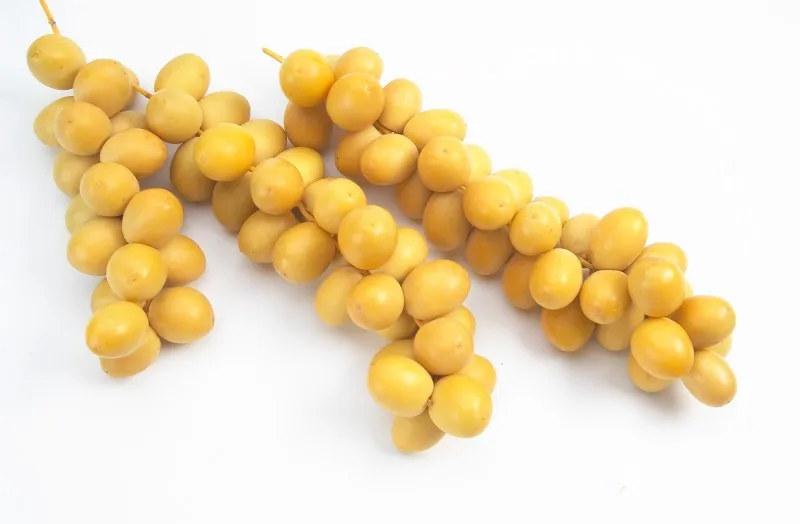 Dates Barhee Dates Organic Fruits Dates Yellow Fresh Fruits Other Fruit