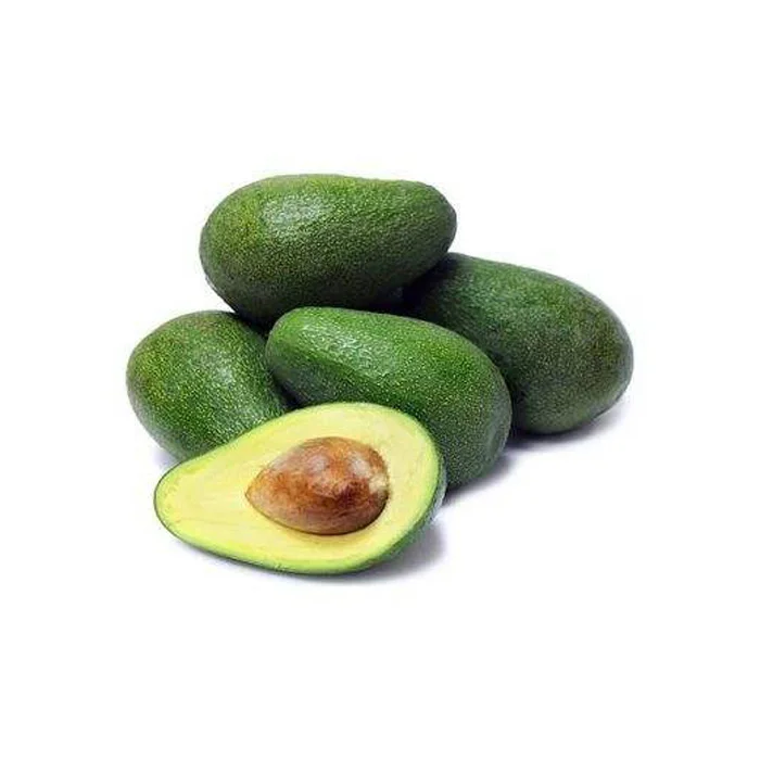 Fresh Avocado For Export With The Best Price Standard High Tropical Fruit New  Wholesale Healthy Premium Avocado