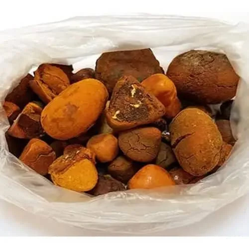 Whole Gallstones / Natural Ox Gallstones / Cow Bezoar for sale to China