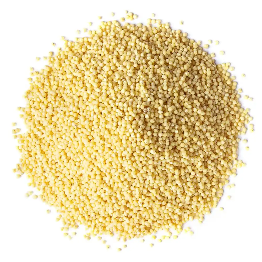 Millet supplier hulled yellow pearl millet grain
