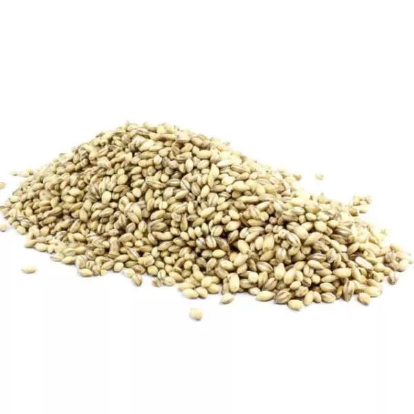 Natural Raw Barley / Malt /Human Consumption / Animal Feed / Fodder / German origin At Reasonable Price