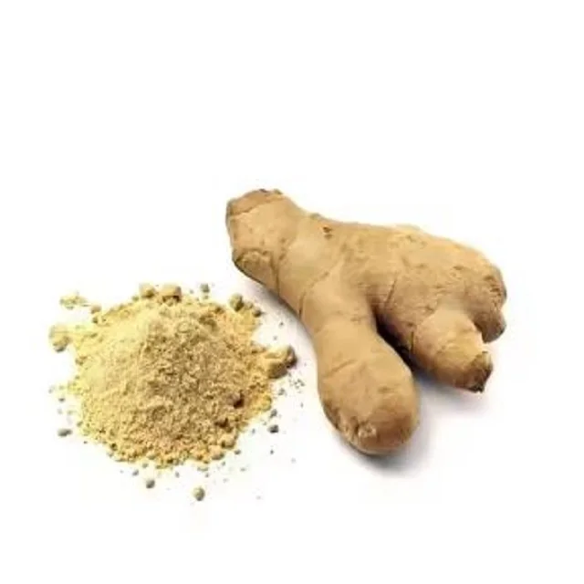 Super Quality Indian Origin Ginger Powder Wholesale Supplier Good Price for Tea Candy Juice Spices Herbs Ginger Powder