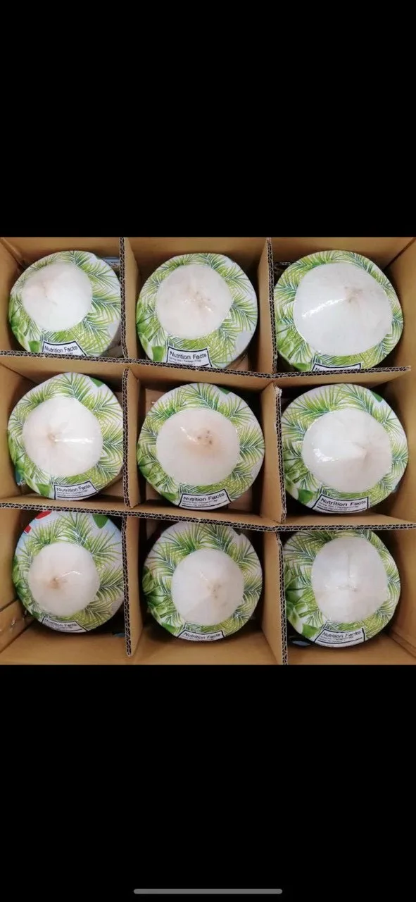 Renium Quality Volume 250 to 300 ml Per piece Rich in protein Fresh Young Coconut With Diamond shape or polish shape coconut bow