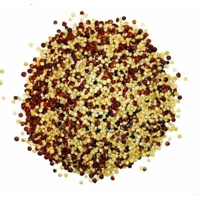 Wholesale New Crop Quinoa 3 Color Quinoa Quinoa Grains For Export