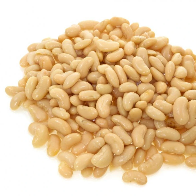 ALDERA Natural Non Gmo Canned White Kidney Beans Cannellini Beans from Turkish Manufacturer