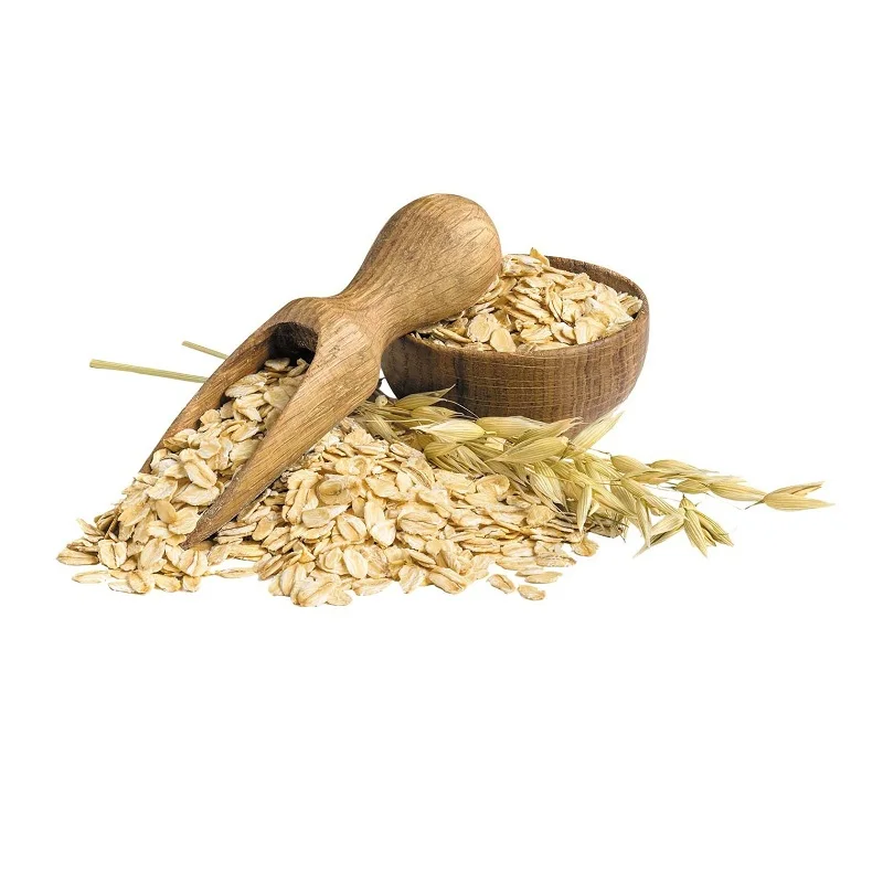 Wholesale Supplier Of Bulk Fresh Stock of Organic Oats Grains