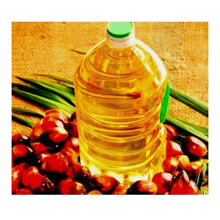 Good Quality Cheap Price RBD Palm Olein - Crude Palm Oil 100% Refined Oil For Export