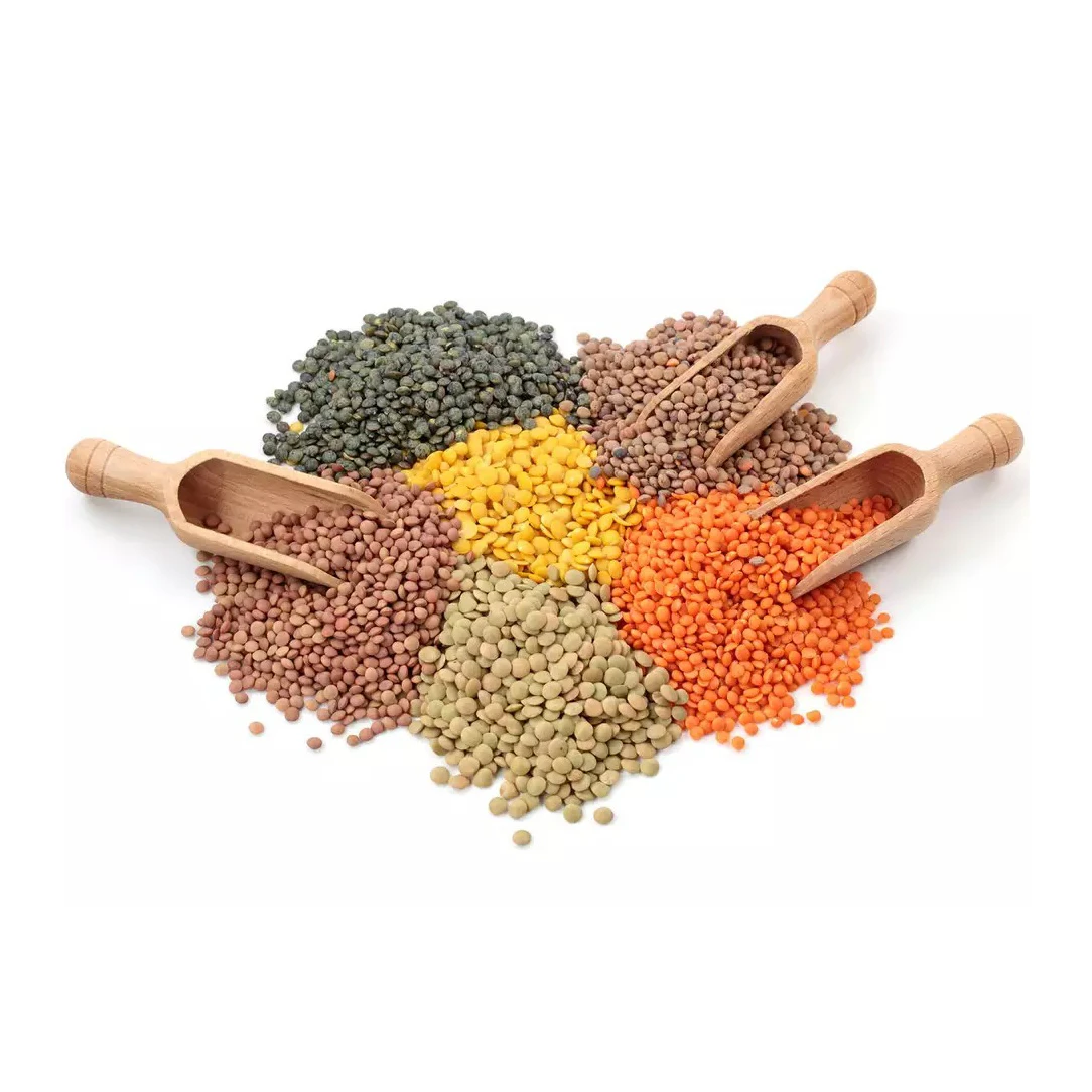 Premium Quality Wholesale Lentils For Sale In Cheap Price