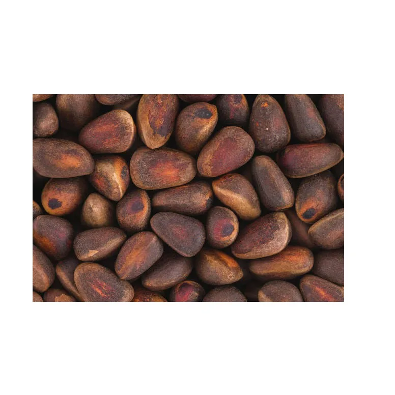 Free Samples Pine Nut Peeling Shell Cedar Pine Nut