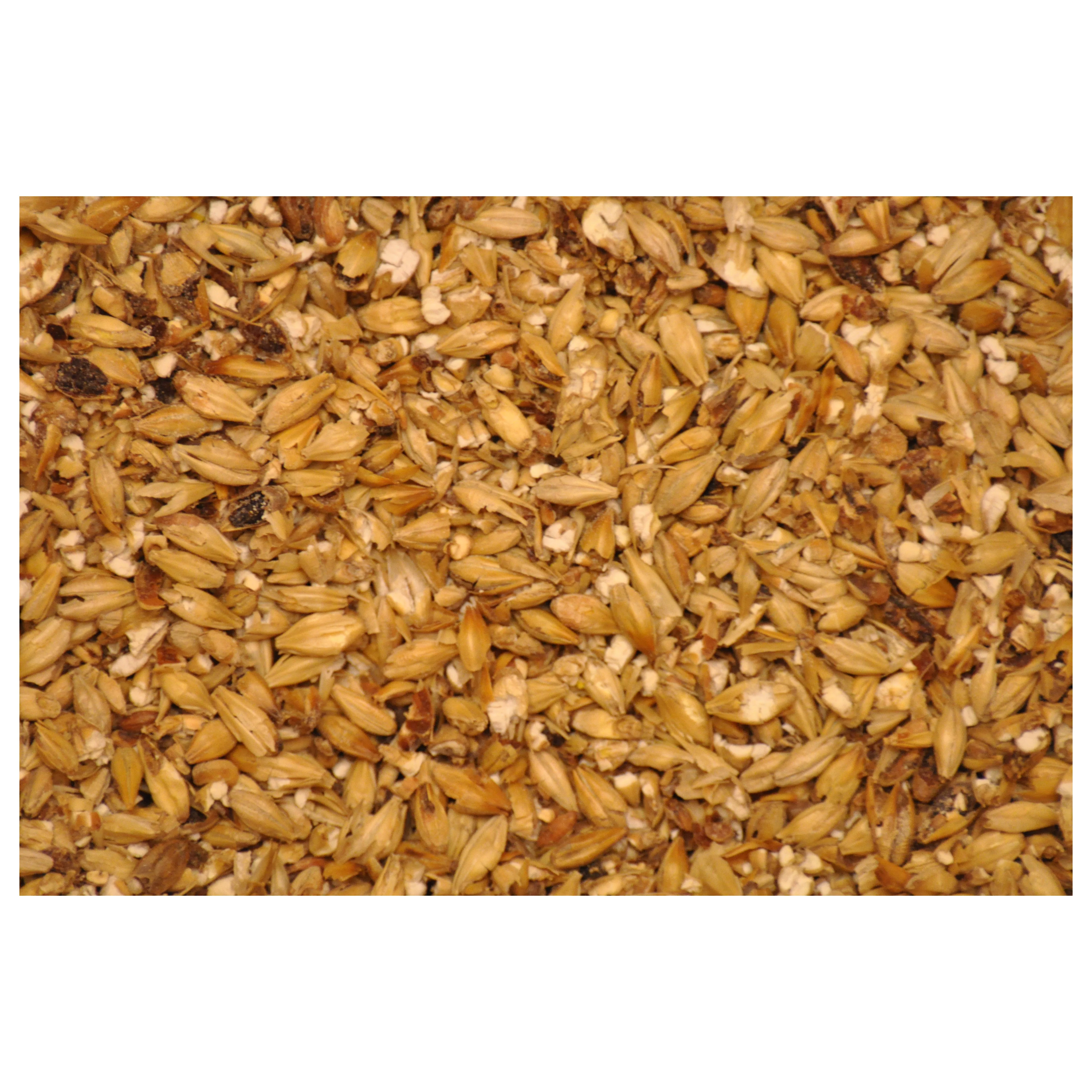 Оптовая продажа 100% органический Ячмень для солодового зерна ячменя готов к экспорту/отличный ячмень продажи оптом