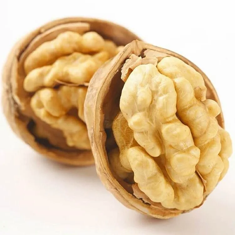 Factory Supply Lowest Price Walnut Inshell Wholesale Cheap Price Exporters