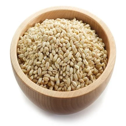 Barley grain that is Freshly Packed in Whole Barley at very attractive rates