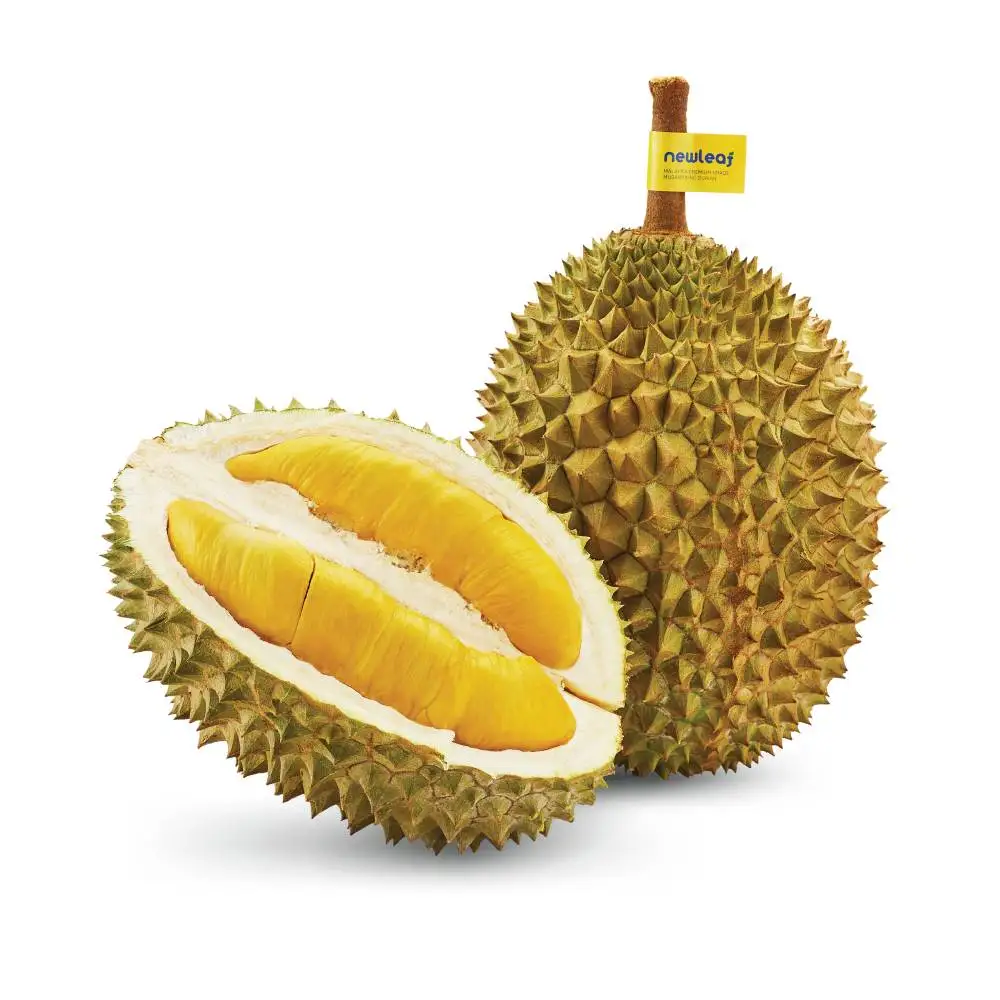 Malaysia Musang King Durian D197 Fresh Whole Fruit | Top Selling Premium Farm Fresh Durian From Raub Pahang