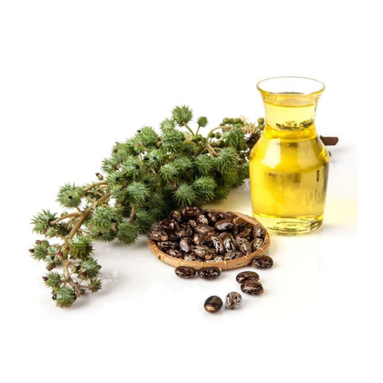 Castor Oil for Eyelash and Eyebrows Wholesale Bulk Order 1 kg Castor Oil Price