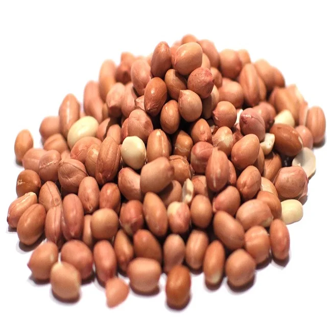 low price Crispy Nuts Snacks Flour Coated Roasted Peanuts China Sale Bag Origin Red Skin Peanut Top Grade Peanuts