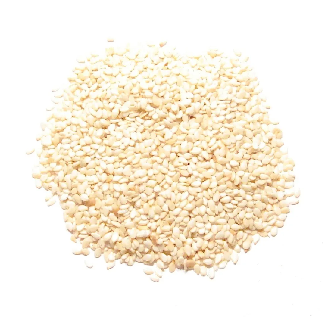 NATURAL WHITE SESAME SEEDS FOR SALE.