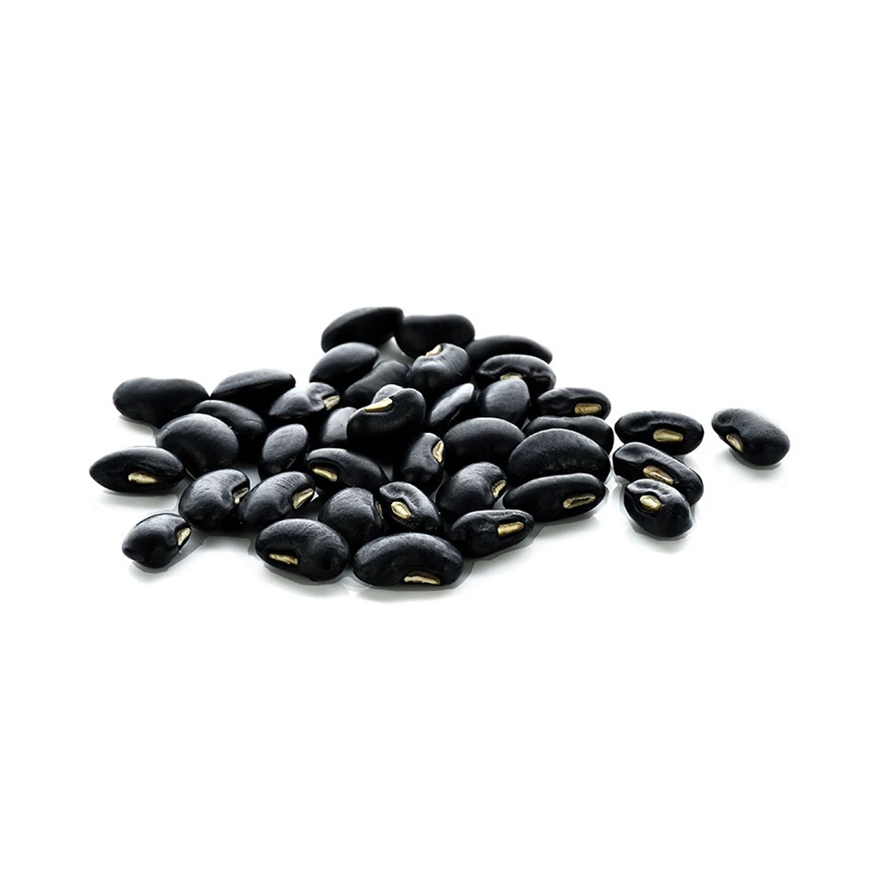 High Quality Healthy Care Black Kidney Beans For Sale Best Quality Long Shape Dark Black Kidney Bean