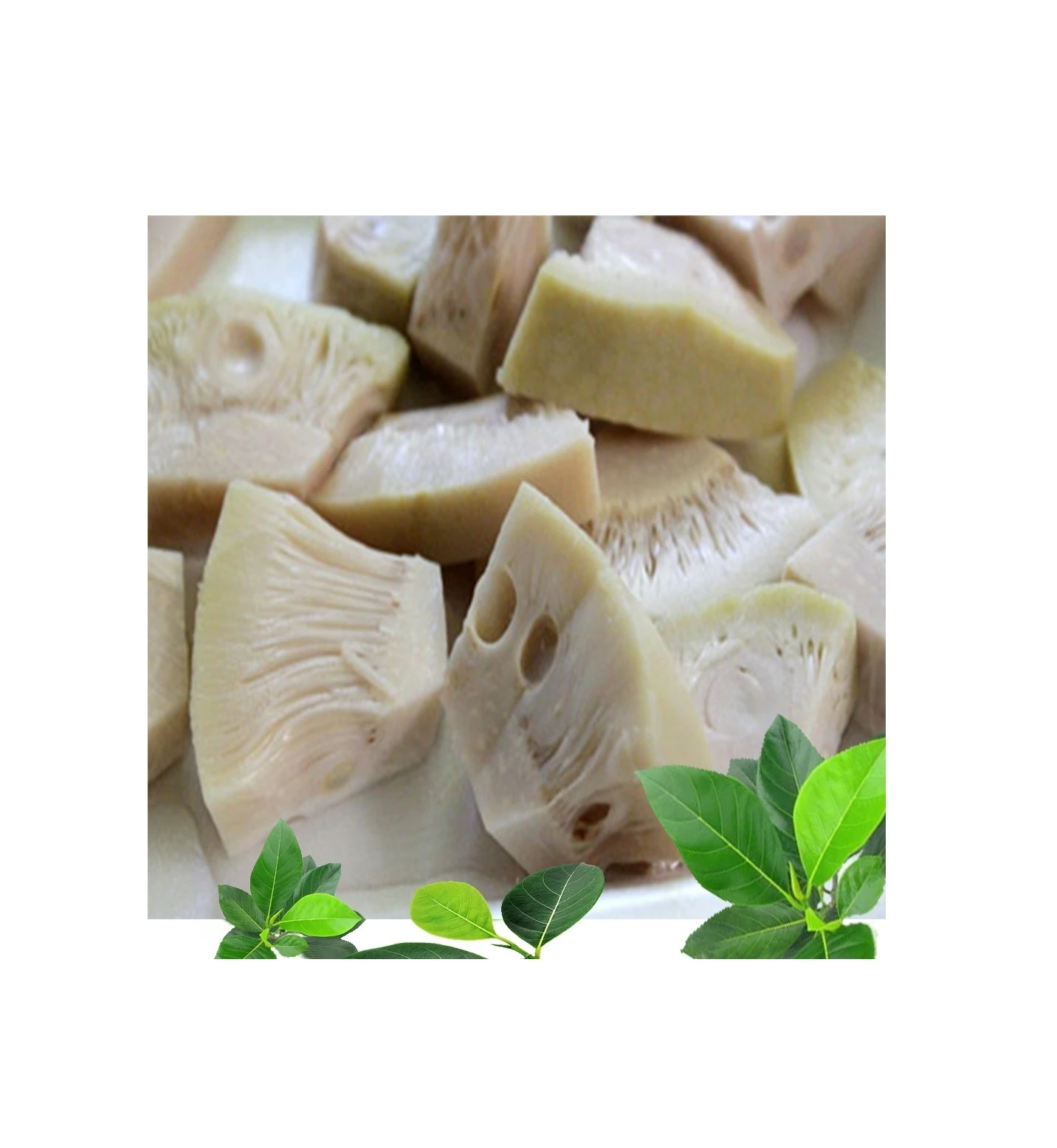 Vietnam Tropical fruit 2022 Fresh Jackfruit Fresh Green Jackfruit Nature tasste Processed Jackfruit Premium Grade