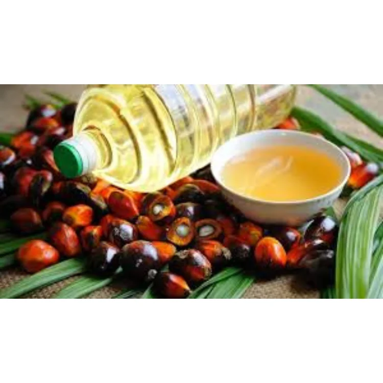 Leading Supplier of High Quality Refined Palm Cooking oil at Wholesale Market Price