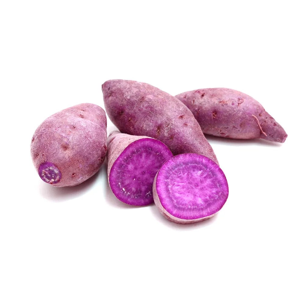 ( Hot Selling ) Fresh clean potato - Potato fresh  with Best price and high quality/ LC-TT payment
