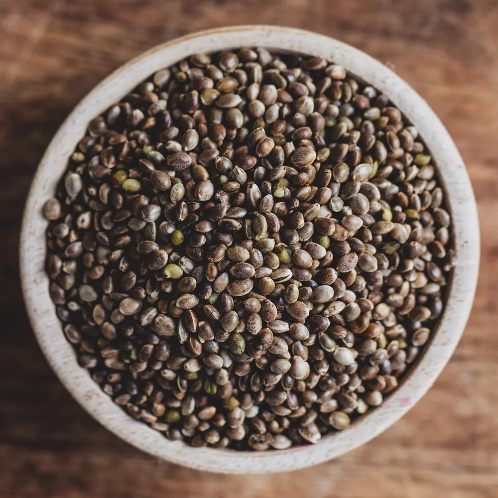 Wholesale bulk hemp seed with export hemp seeds from China origin
