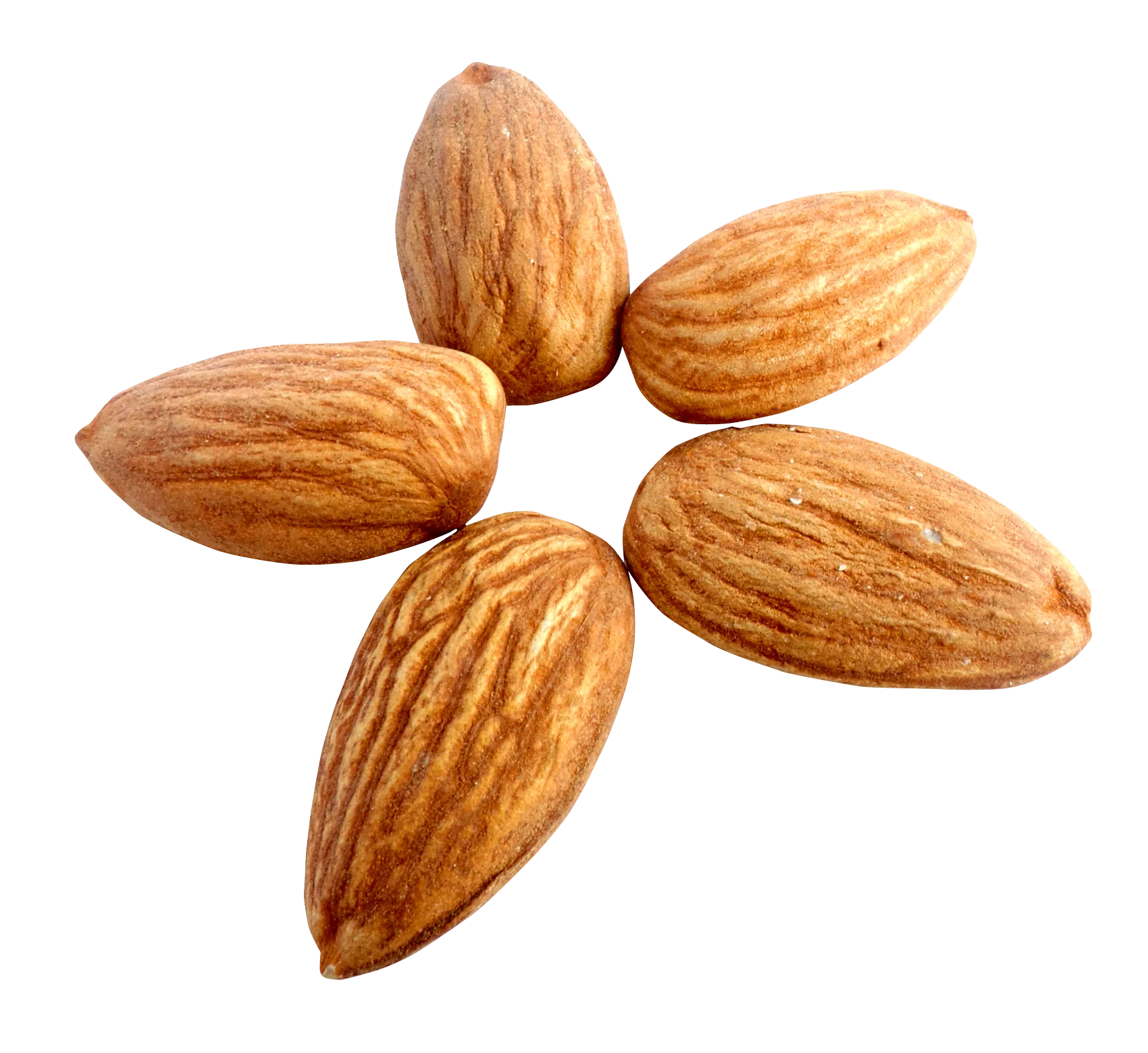 Bulk Almonds Wholesale Price Raw Almonds Available