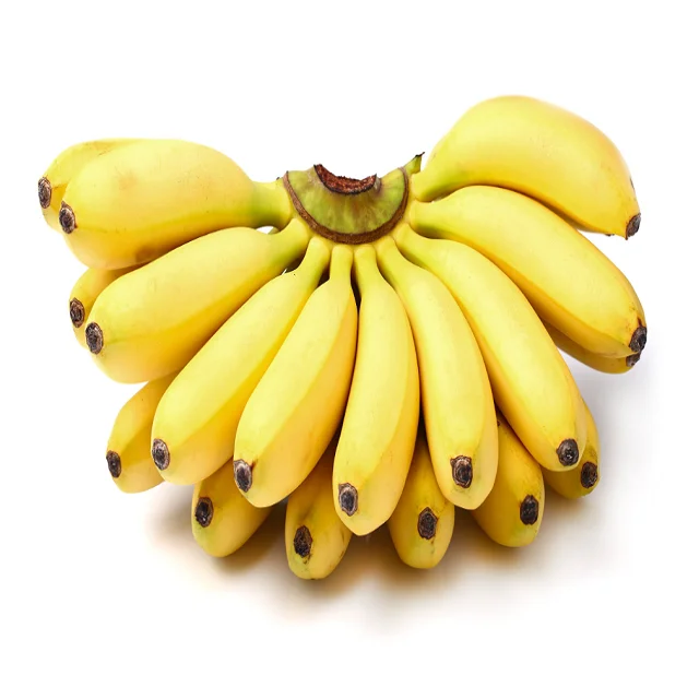 100% Fresh Green Cavendish Banana For Sale/ Fresh Green Cavendish Bananas In Bulk Quantities