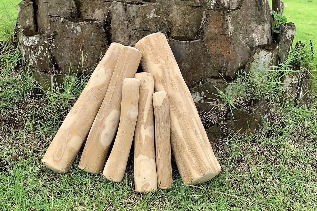 Expad Natural Coffee Wood Dog Chews Sustainable Pet Toy for Dental Health and Aggressive Chewers Boxed Packaging