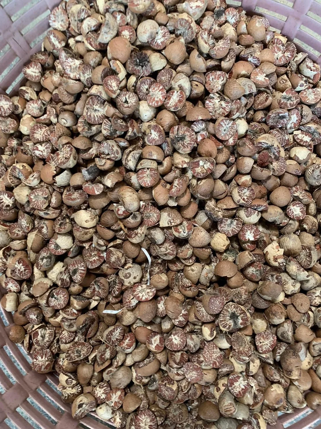 Сушеные Орехи Betel/OEM/частная Этикетка/продукт из Таиланда/Лучшая цена Высокое