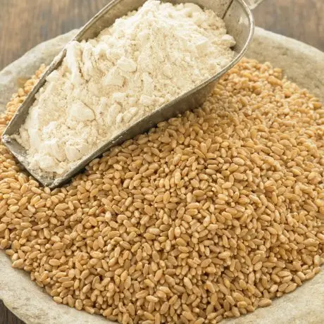 Flour.jpg