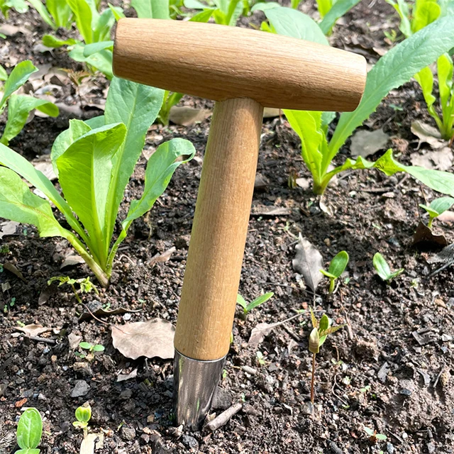 Garden hole drill T-type fertilizer planting tool for vegetable seed transfer and planting wooden handle garden hole drill