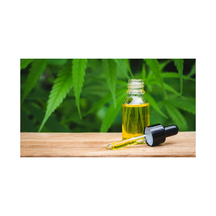 Factory supply 100% natural Olea europaea L Plant Oil Organic Hemp Seed Oil For Health food