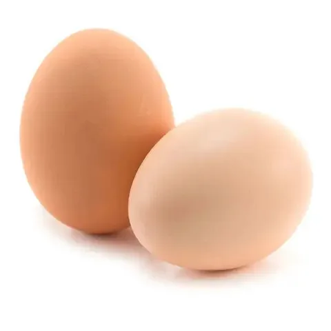 Broiler hatching eggs Ross 308 and Cobb 500 and Chicken Table Eggs fresh