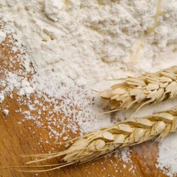 Barley Grains Premium Barley Seeds/Animal feed barley/bulk barley grains Best Price Barley grain for sale