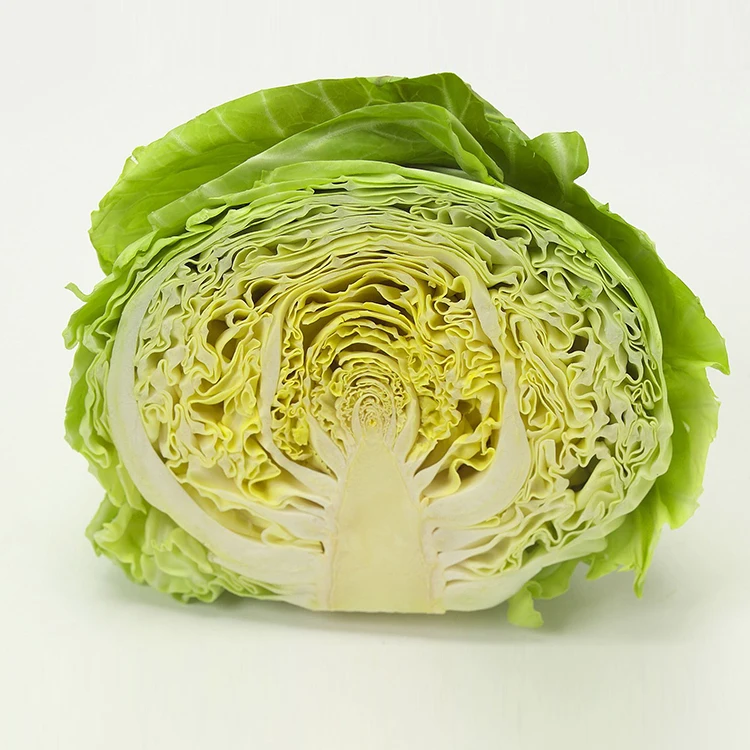 Hot Sale - Fresh Round Cabbage with CE HACCP Certificate - High Quality Natural Cabbage for EU