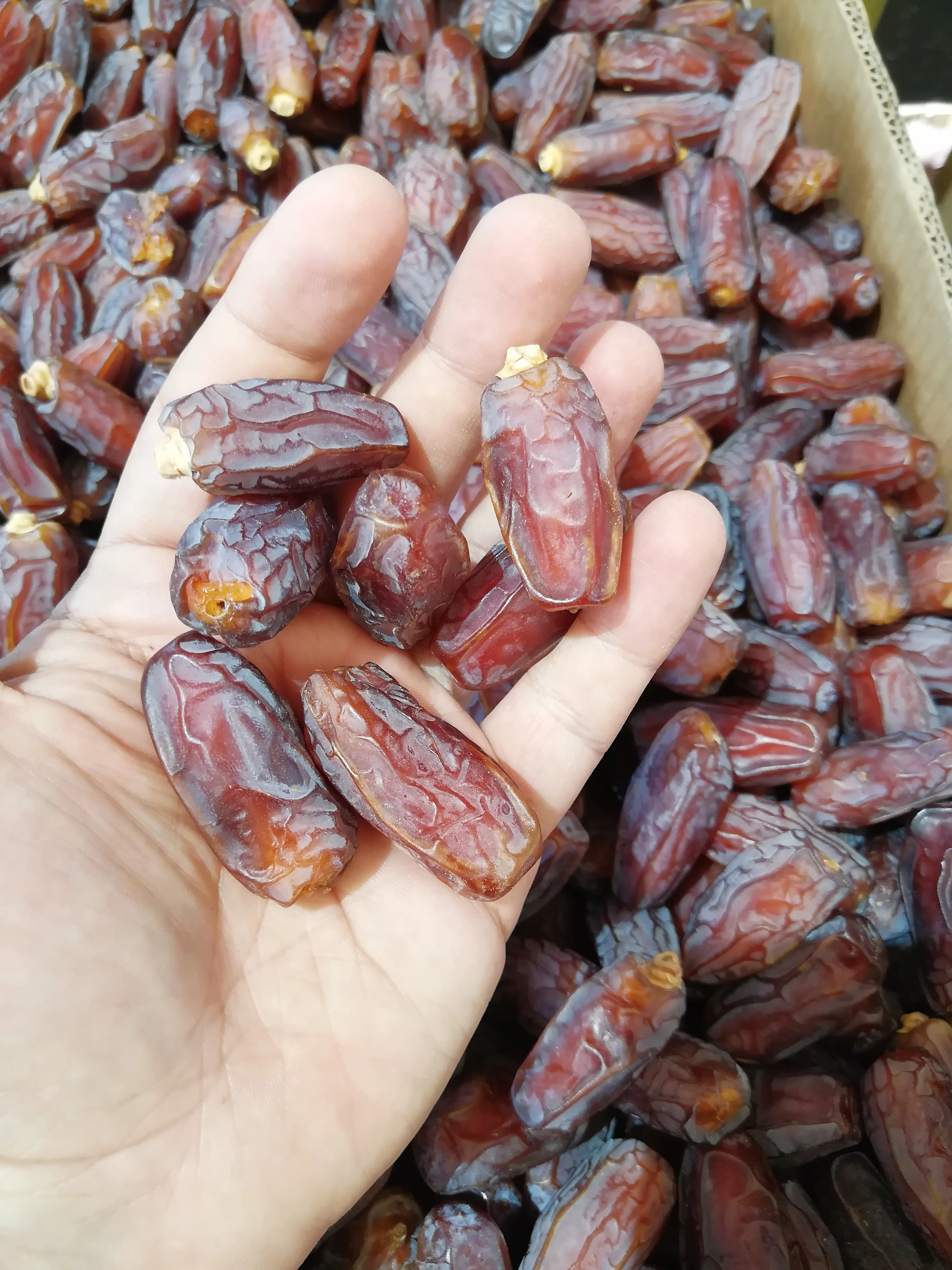 Dry dates Mabroom dates fruits