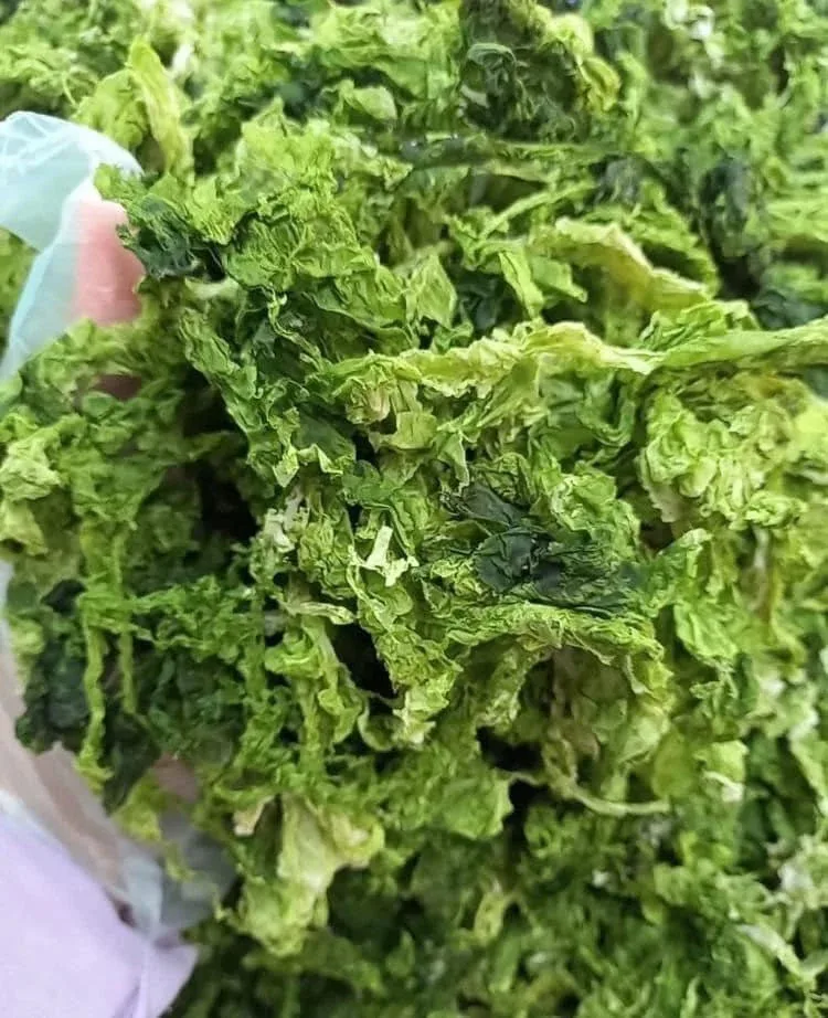 Dried Ulva Lactuca/ Green Seaweed/ Sea Lettuce Seaweed sea moss natural green color good price  premium quality from Vietnam