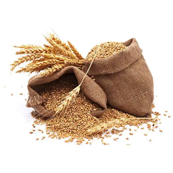 wheat5.jpg