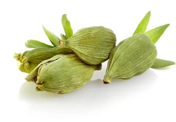 Wholesale Green Cardamom Guatemala Cardamom, White Cardamom, Cardamom Suppliers Wholesale Supplier