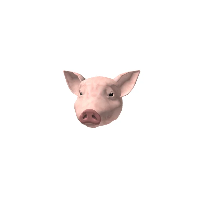 Frozen Pork Heads - Complete with Ears and Tongue - High-Quality Meat for Cooking, Roasting Wholesale Prices and Global Shipping