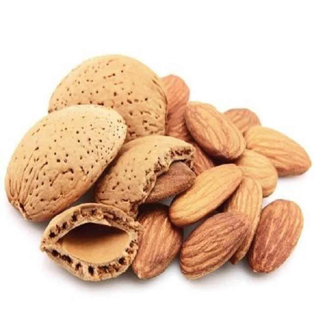 Top Quality  Natural Organic Large Grain Almonds for sale
