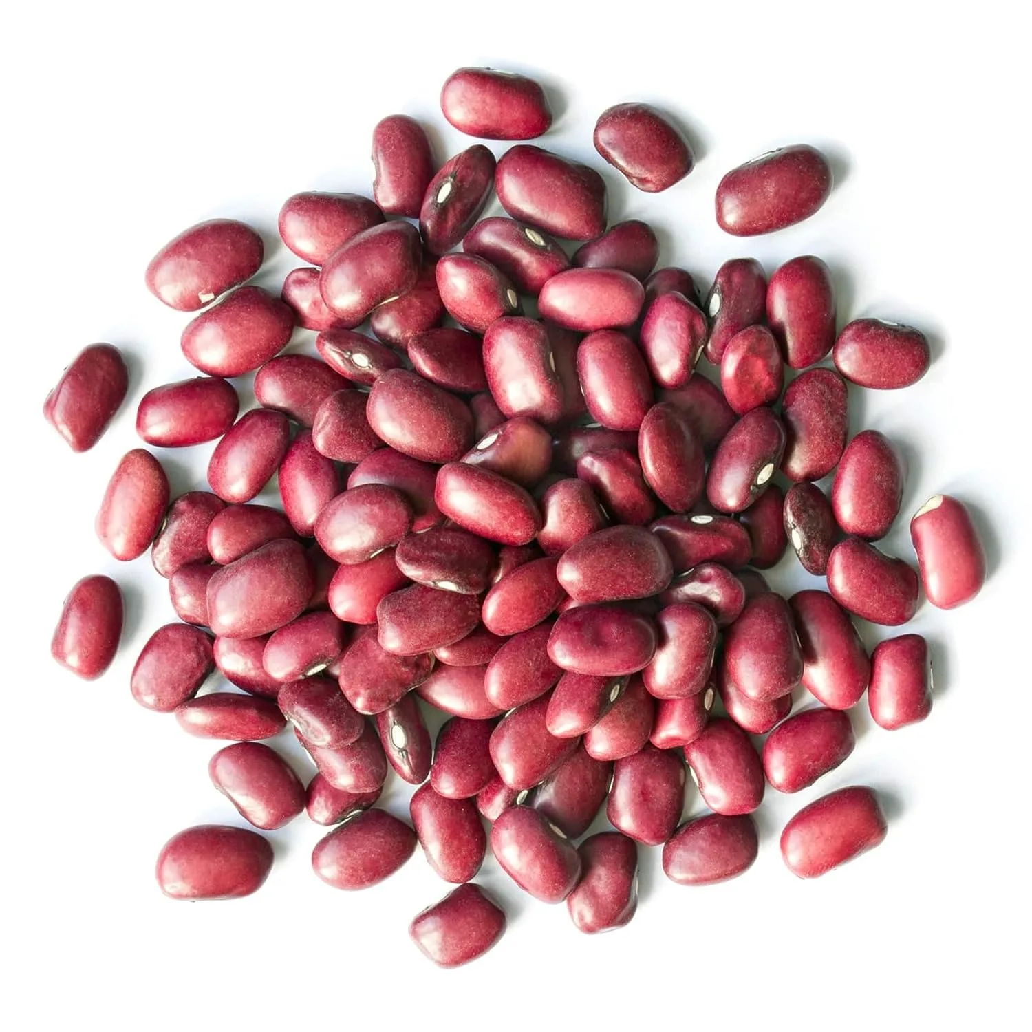 Premium Bulk Natural Dried Red Beans for Wholesale Sale Providing High Grade Red Beans at Best Market Prices Globally