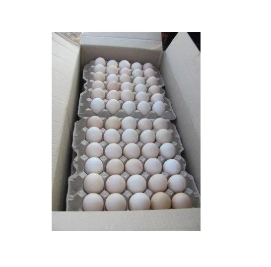Hot Selling Price Fresh Farm Eggs Broiler White and Brown Fresh Eggs in Bulk