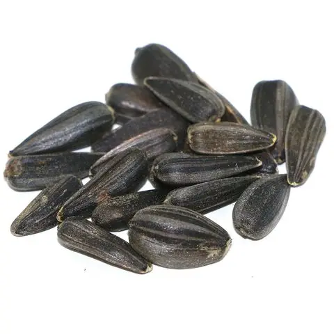 Cheap price sunflower seeds black sunflower seeds kernels for sale