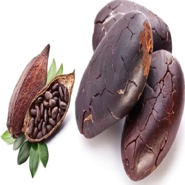 Bulk Good price New raw dried cocoa beans for sale cocoa bean seeds available for wholesale