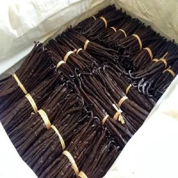 Vanilla Beans 3.jpg